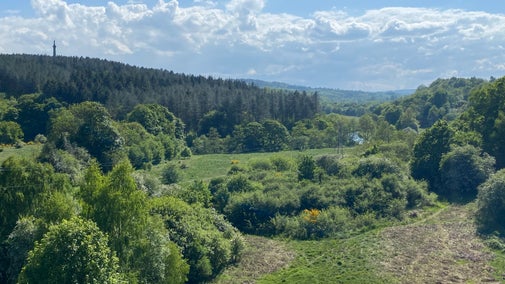 A wide sunny view down over grassy areas and leafy trees, with a glimpse of the River Derwent winding along the valley and hazy hills in the far distance. Gibside's Column to Liberty monument stands tall above a line of conifer trees on a hill top on the left of the view.